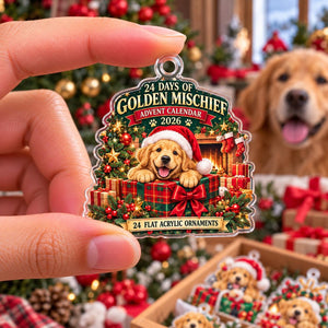 2D Flat Acrylic Golden Retriever Advent Calendar 2026, 24 Dog Ornaments, Golden Retriever Christmas Countdown, Dog Lover Gift dc34bfe7-0f67-4f9d-84d1-6a2eac5e4eae-il_1588xN.8640890467_faqp.jpg