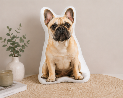Personalized Pet Photo Pillow, Custom Dog Portrait Pillow, Pet Face Cushion, Dog Mom Gift, Pet Memorial Keepsake df874d53-940c-4141-88d5-f500c2c97844-mockup_3_pillow_product_only.png
