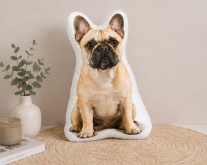 Personalized Pet Photo Pillow, Custom Dog Portrait Pillow, Pet Face Cushion, Dog Mom Gift, Pet Memorial Keepsake df874d53-940c-4141-88d5-f500c2c97844-mockup_3_pillow_product_only.png