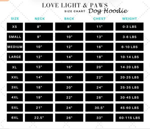 Detroit Dog Hoodie T-Shirt Pet Clothes Jersey Custom Name and Number Gifts