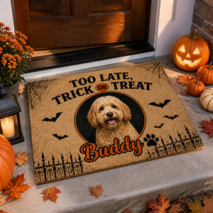 Halloween Trick or Treat Pet Photo Doormat - Personalized Doormat e138eaba-025f-46f7-9f50-5949f6284f03.jpg