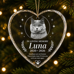Pet Memorial Heart Acrylic Ornament – Photo, Name & Years - Personalized Transparent Acrylic Ornament e17cc6da-a57e-426b-a038-601f21b45dc1.png
