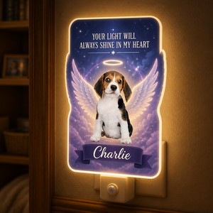 Pet Memorial Acrylic Night Light — Your Light Will Always Shine In My Heart - Personalized Acrylic Night Light e33ebf5c-6111-4b4d-a06b-9c6095b1c1b9.png