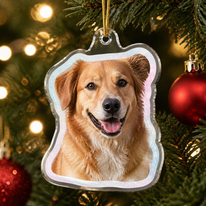 Custom Pet Photo Die-Cut Ornament - Personalized Laser Cut Custom Shape Ornament e4156f1b-bce9-4c84-963e-51109f6f0fea.png