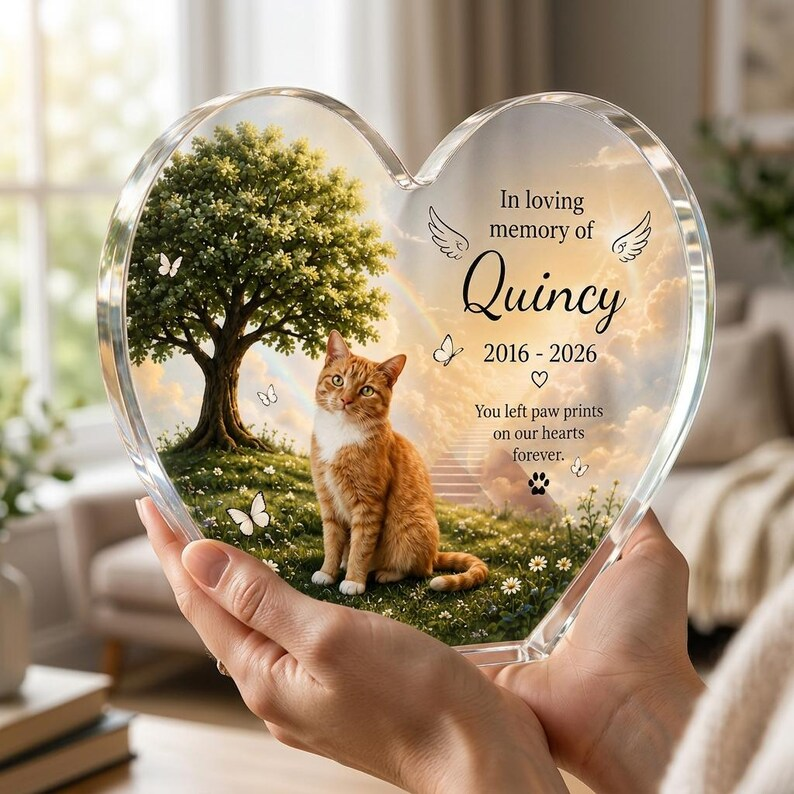 Personalized Pet Memorial Acrylic Block, Custom Cat Photo Keepsake, 2D Printed Rainbow Bridge Remembrance e56a5817-03ee-45ad-92ed-41066d573916-hj4.png