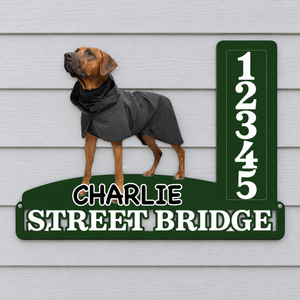 Property Of The Dog Photo - Personalized Freeform Shape Metal Sign, Out Door Decor e736b950-684c-4c8c-85b5-7bf2e0cb3c12-Bi-n-s-nh-Charlie.png
