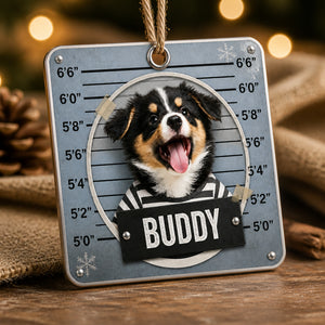 Custom Pet Mugshot Aluminum Ornament (Photo + Name) - Personalized Aluminum Ornament e7ad0f5c-6707-407c-8417-1bac65c0c536.jpg