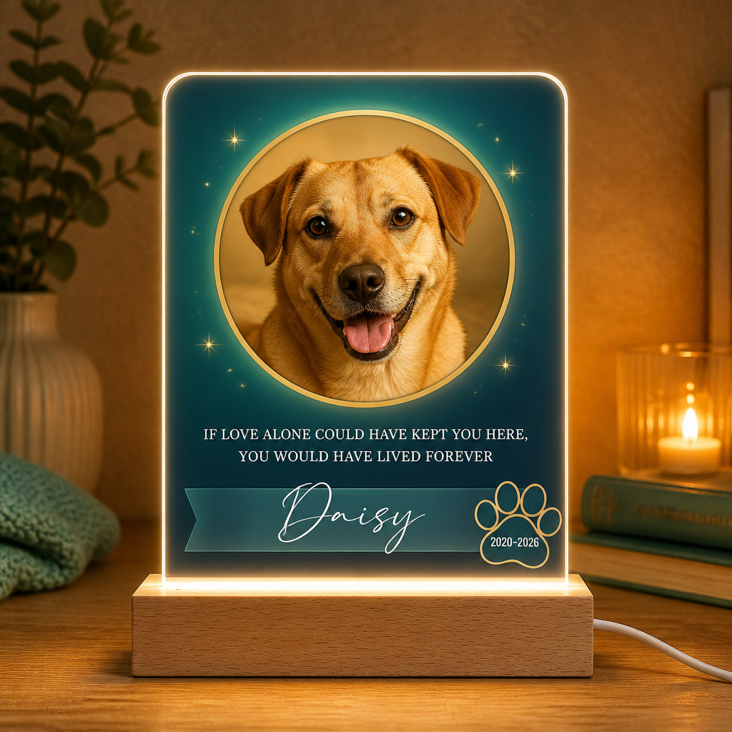 Custom Pet Memorial Photo Acrylic Night Light - Personalized Acrylic Night Light ecc2f177-efda-4895-a053-85c75a049ba7.png