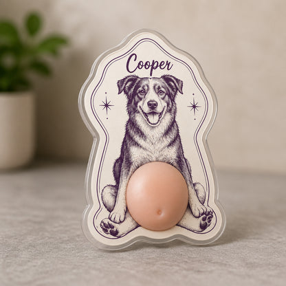 Custom Pet Portrait Magnet – Mid‑Century Frame - Personalized Acrylic Refrigerator Magnet - Soft Rubber Belly ece70010-a1c9-469a-a7f9-7dd642ec010e.jpg