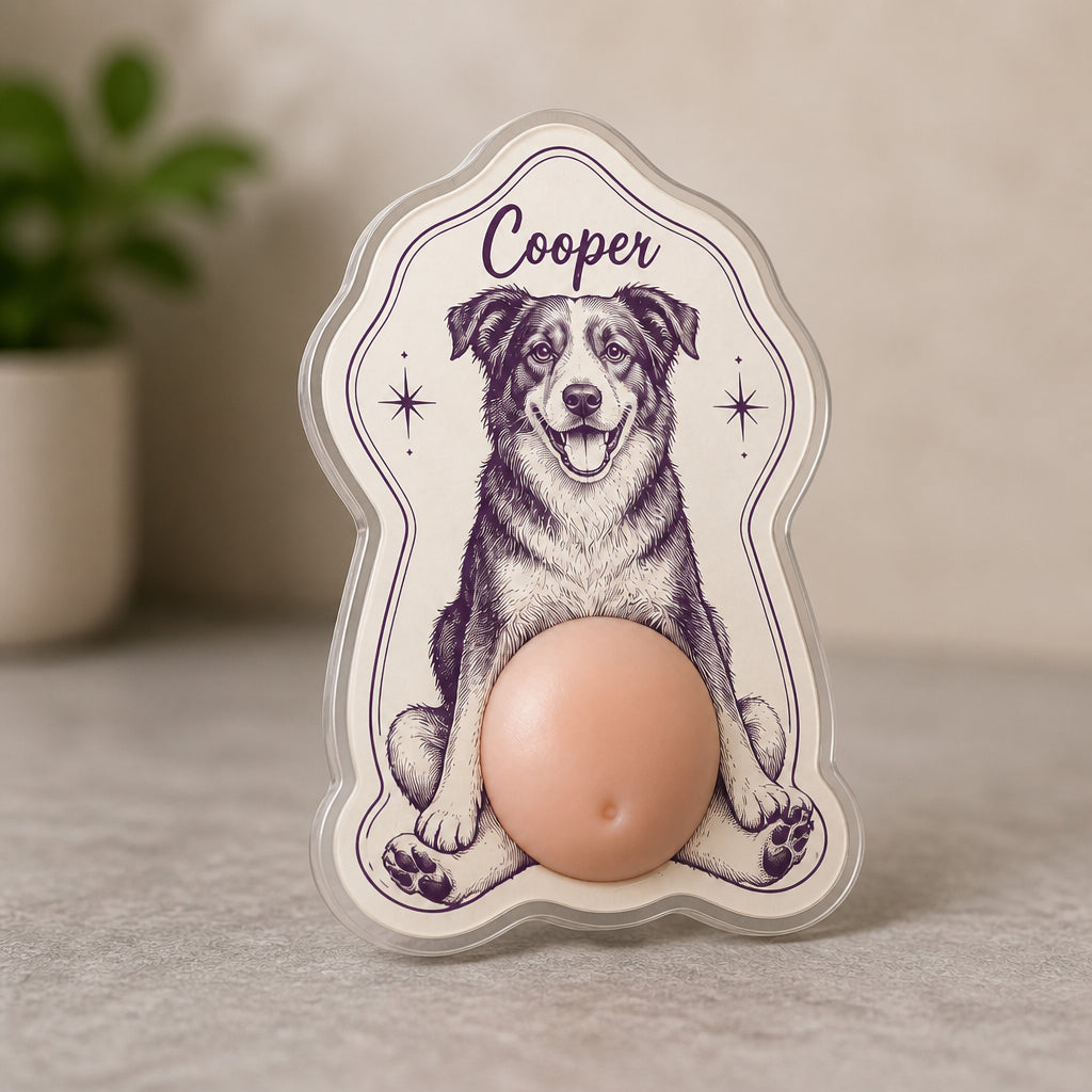 Custom Pet Portrait Magnet – Mid‑Century Frame - Personalized Acrylic Refrigerator Magnet - Soft Rubber Belly ece70010-a1c9-469a-a7f9-7dd642ec010e.jpg