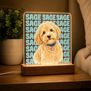 Custom Pet Portrait Night Light – Arched Name Badge - Personalized Acrylic Night Light ef7dbb1b-b5da-4b77-9785-3578e12d158e.jpg