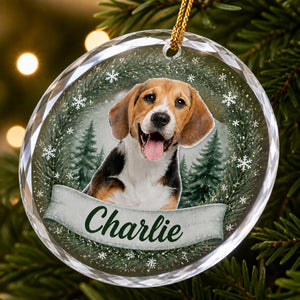 Winter Woodland Pet Photo Crystal Ornament - Personalized Crystal Ornament f0c180d8-d85f-4e79-b55a-ce47e70e1124.jpg