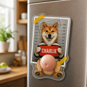 Custom Pet Mugshot Magnet – Photo + Name - Personalized Acrylic Refrigerator Magnet - Soft Rubber Belly f0e3e28e-482a-4c75-8b7a-ccc75239d63a.jpg