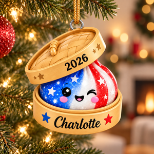 Personalized Squishy Ornament with 3D Raised Front, Custom Dumpling Name Keepsake, Cute Kawaii Christmas Gift, 2026 Kids Decor f31424f6-f1fa-4eda-ac5c-04a1fd9cb1f0-gfhjfghj-1-.png