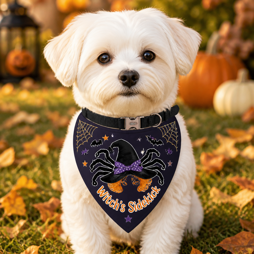 Halloween Witch Spider Pet Bandana - Pet Bandana Collar With Adjustable Buckle f4181bbe-b0b4-4982-9610-29a320391ea3.png