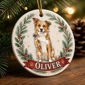 Custom Pet Portrait Ornament with Name Banner - Personalized Ornament f51e1989-81e0-431a-bcb0-7f18eb6f8d68.jpg