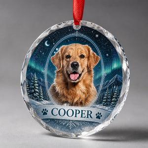 Custom Pet Photo Crystal Ornament – Winter Night Cameo - Personalized Crystal Ornament f75785cd-0e49-405d-83ee-5732b2015af1.jpg