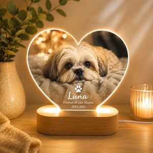 Custom Pet Memorial Heart Night Light, Personalized Photo LED Bedroom Decor face5400-8a40-4cf1-81a6-b001b63571d8-dgdfdgfdgf-4-.webp