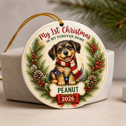 My 1st Christmas In My Forever Home - Personalized Pet Ornament (Name + Year) - Personalized Ornament fad52b75-d9b8-4651-96b4-6dc254307140.jpg