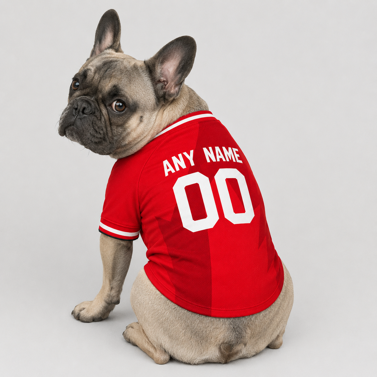 Canada Dog Tshirt 2026 World Cup Pet Clothes Jersey Style Custom Name and Number Pet Clothes Gifts