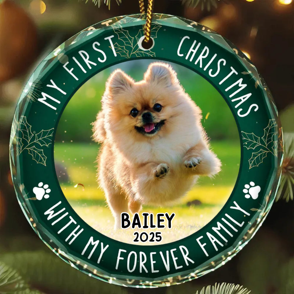 First Christmas With Family - Personalized Crystal Ornament - Gift For Pet Lovers