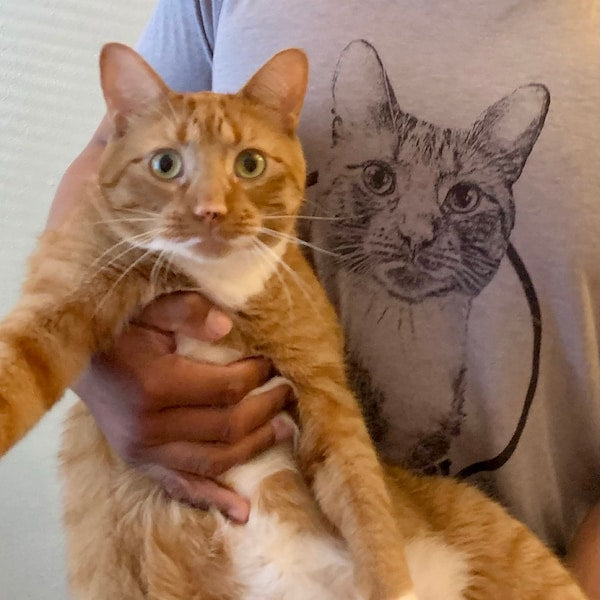 Personalized cat photo t Shirt perfect gift for cat owners unique pet loss tribute shirt custom cat portrait apparel Personalized shirt Cat Lovers Mother's Day Gift For Cat Mom