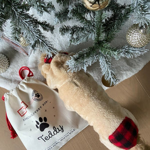 Personalised Pet Santa Sack, Dog or Cat Christmas Stocking, Xmas Treat Bag, Pet Gift, Santa Paws