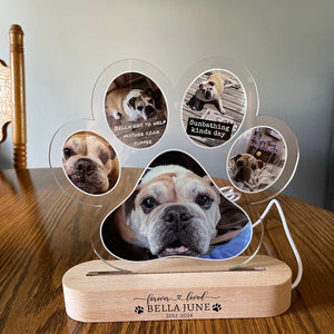 Custom Dog Photo Night Light, Dog Memoral Gift, Light Up Pet Memorial Plaque, Custom Photo Gift, Personalized Gift for Pet Loss, Sympathy if