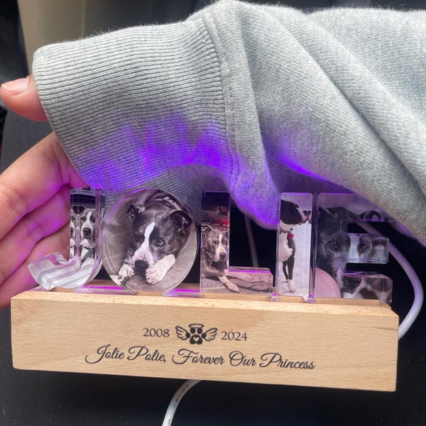 Personalized Pet Memorial Night Light, Custom Pet Photo Night Light, Custom Pet Memorial Gift, Loss Of Pet Sympathy Gift, Dog Loss Gift