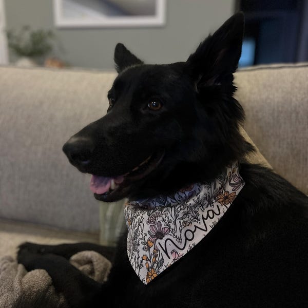 Custom Pet Bandana, Wildflowers Girl Dog Collar, Personalized Pet Name, Matching Dog Shirt and Collar, Floral Dog Gifts, Dog Mom Gifts