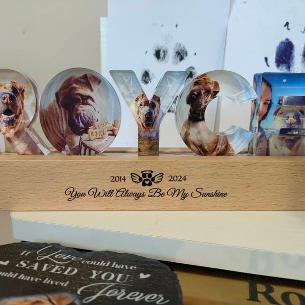 Personalized Pet Memorial Night Light, Custom Pet Photo Night Light, Custom Pet Memorial Gift, Loss Of Pet Sympathy Gift, Dog Loss Gift