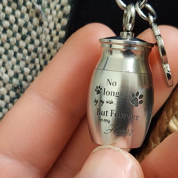 No longer by my side Forever in my Heart Personalized Dog Ashes Keepsake,Pet Urns Keychain for Dogs,Cremation Keyrings Urn,Pet Memorial Dog Paw Keychain,Pet Loss Gift,Pet Locket