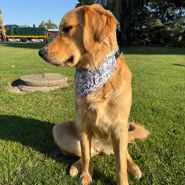Custom Pet Bandana, Wildflowers Girl Dog Collar, Personalized Pet Name, Matching Dog Shirt and Collar, Floral Dog Gifts, Dog Mom Gifts