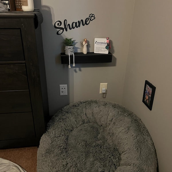 Personalized Metal Pet Name with Paw | Custom Metal Dog D cor | Dog Name Sign | Gift for Dog Mom Dog Dad | Pet Loss Gift Dog Memorial Gift