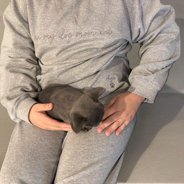 EMBROIDERED in my dog mom era w-Dog Name on sleeve Sweatshirt/Custom Crewneck w-Pet Name/Gift for Dog Lover-New Dog Mom-Fur Mama-Mothers day