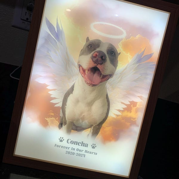 Customizable Fur Baby on Art Frame Light, Personalized Pet Lovers Portrait Commission, Pet Portrait Keepsake Light,Loss Gift Grief