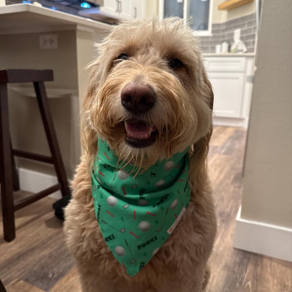 Golf Dog Bandana, Golf Ball Dog Bandana, Golf Balls, Golf Tee, Father s Day Dog Bandana, Dog Daddy Gift, Fore, Golf Season, Golf Themed Gift
