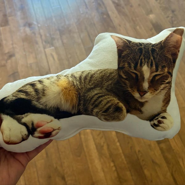 Custom Pet Pillow, Dog Throw Pillow 3D Pillow Pet Photo Pet Cat Pillow Custom, Personalized Pet Pillow
