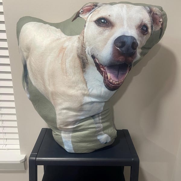 Custom Pet Pillow, Dog Throw Pillow 3D Pillow Pet Photo Pet Cat Pillow Custom, Personalized Pet Pillow
