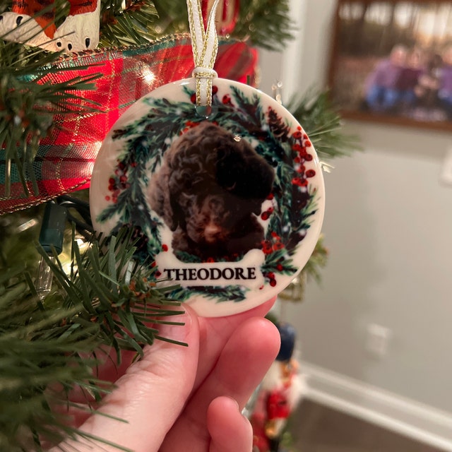 Personalized Pet Ornament, Custom Dog Christmas Ornament, Pet Memorial Ornament, Cat Christmas Photo Ornament, Pet Portrait Name Gift