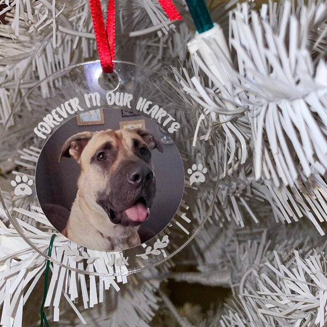 Forever Loved Personalized 2025 Memorial Dog Ornament, Christmas Memorial Gifts, Dog Lover Gifts, Dog Owner Gifts, Custom Dog Photo Ornament, Pet Ornament