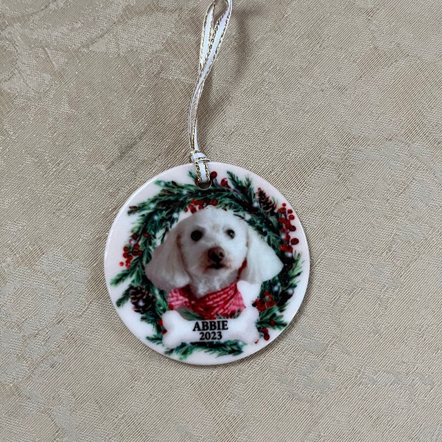Personalized Pet Ornament, Custom Dog Christmas Ornament, Pet Memorial Ornament, Cat Christmas Photo Ornament, Pet Portrait Name Gift