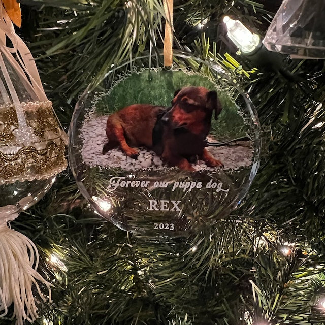 Pet Loss Sympathy Crystal Ornament - Forever in Our Hearts Custom Losing a Pet Memorial Photo Ornament - Dog Cat Pet Remembrance Gift