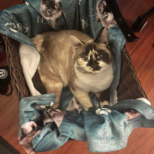 Personalized cat blanket, Cat lover gift, Custom photo blanket, Pet photo blanket, Photo blanket customized, Cat dad gift, Cat mom gift iap_640x640.6080492335_k87vejc7.jpg