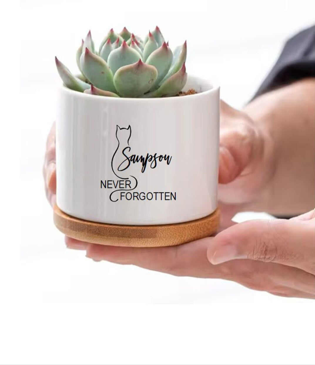 Cat Memorial Planter Personalized Pet Memorial Loss of Cat Sympathy Gift Custom Flower Pot Loss of Pet Memorial Gift for Cat Mom