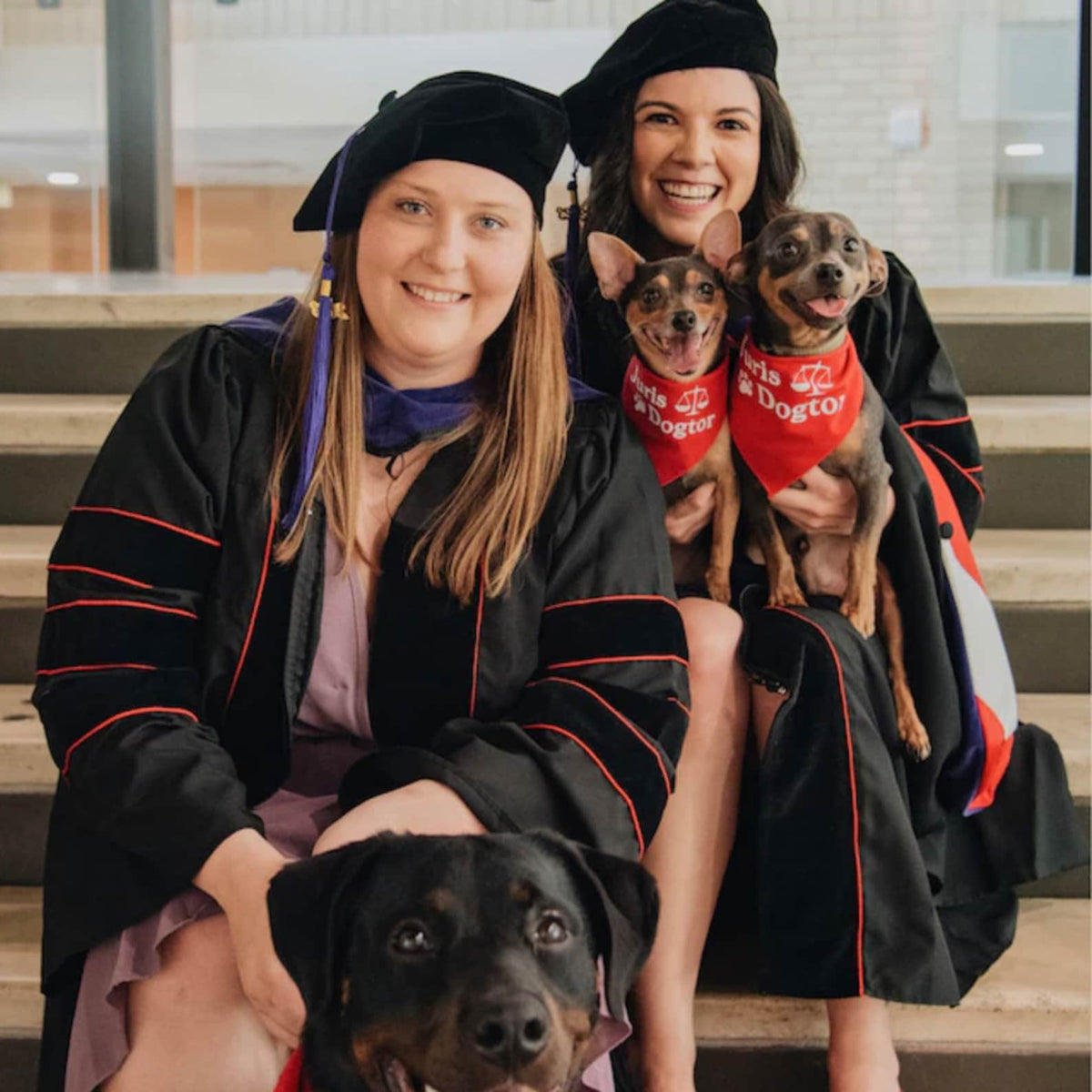 Juris Dogtor Scales of Justice Dog Bandana Personalized Graduation Dog Bandana Graduation Gift Graduation Dog Bandana Class of 2025