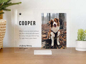 Pet Memorial Gift Personalized Acrylic Plaque, Pet Memorial Keepsake, Pet Bereavement Gift, Dog Cat Loss Sympathy Gift