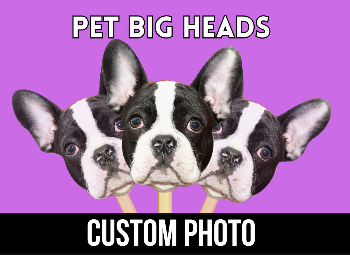 Pet Face on Stick, Personalized Dog Big Heads, Custom Cat Big Heads, Gift for Dog Mom, Wedding Props, Photo booth Prop, Big Head on Stick
