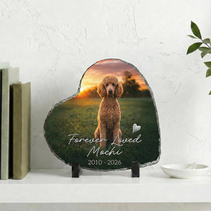 Loss of Dog Portrait Plaque, Custom Pet's Photo Pet Memorial Photo Rock Slate Memorial Gift Sympathy Gift For Dog Lovers