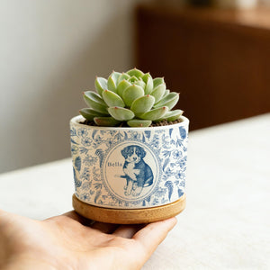 Personalized Pet Portrait Planter, Pet Succulent Planter, Pet Home Decor, Dog Memorial, Dog Remembrance Gift, Gift for Pet Lovers
